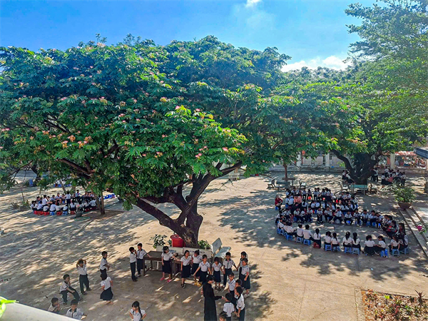 Hình ảnh tại trường44